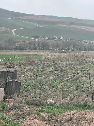 Продажа участков: 80 соток, Для сельского хозяйства — 12