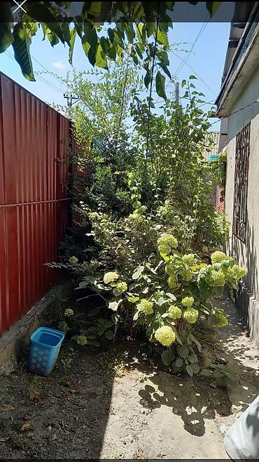 Үйлөрдү сатуу: 5 бөлмө, 80 м², 4 соток, Бишкек, Аламедин базары Риелтор — 4