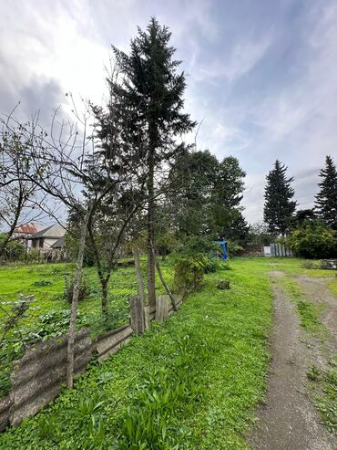 Torpaq sahələrinin satışı: 5 sot, Tikinti — 9