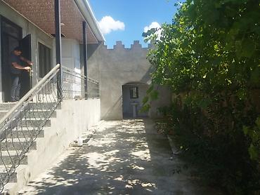 Həyət evləri və villaların satışı: Bağ evi/həyətyanı sahə - Geniş həyət: yaşıllıq, ağaclar və dekorativ — 3