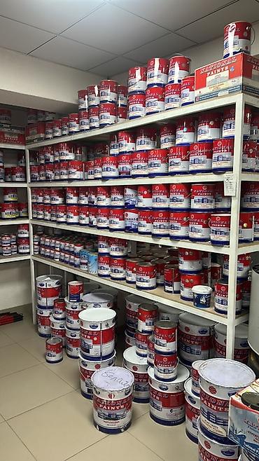 краска машины: Краски и покрытия NATIONAL PAINTS Профессиональная линейка — 7