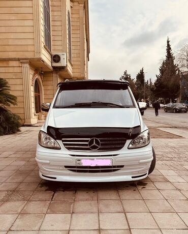 Mercedes-Benz: Mercedes-Benz Vito mikroavtobus - Kuzov: ağ rəng, qara kapot örtüyü — 1