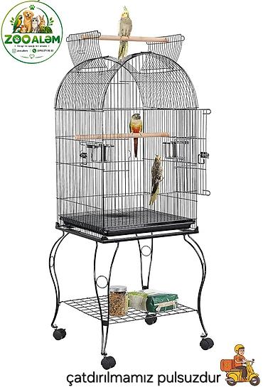bulbul qefesi: Tutuquşu qəfəsi (jako, ara, kakadu və s. tutuquşuları üçün qəfəs) — 4