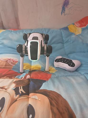 pultlu masin 07: RC Robot İt – D5 model - Göstərilən dəstdə futuristik dizaynlı — 3
