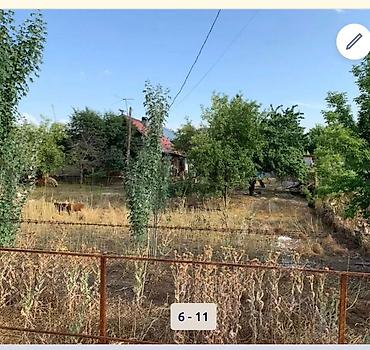 Продажа участков: 4 соток, Красная книга — 6