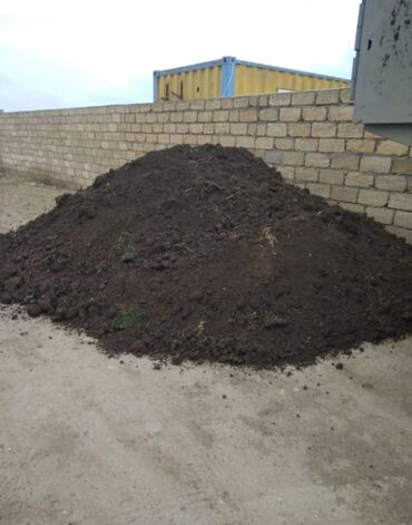 chia toxumu harda satilir: Məhsul: Qara torpaq (landşaft və bağçılıq üçün) Təsvir: - Qida lalafo.az -da chia toxumu harda satilir: Məhsul: Qara torpaq (landşaft və bağçılıq üçün) Təsvir: - Qida