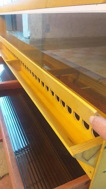 Птицы: Брудеры для цыплят. размеры 150 х 50 х 65 см. Яйцо Брама — 3