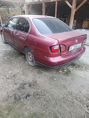 235 65: Nissan Primera: 2002 г., Бензин, Седан — 1