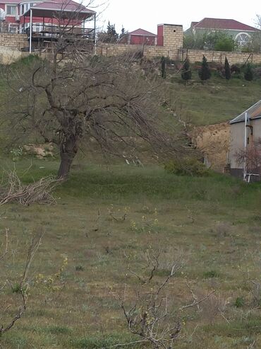 Torpaq sahələrinin satışı: 30 sot, Mülkiyyətçi, Kupça (Çıxarış) — 8