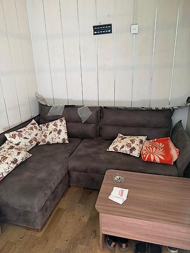 konteyner satilir: Ofis konteyneri əşyalı satılır uzunluğu 6 metr Endirim ediləcək Ofis — 6