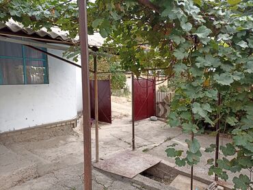 Продажа домов: Дача, 30 м², 3 комнаты, Собственник — 11