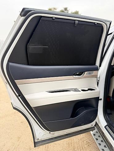 Hyundai: Hyundai Palisade: 2019 г., Автомат, Кроссовер — 14