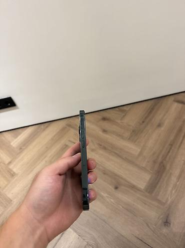 хр в корпусе 13про: IPhone 13 Pro, зелёный (Alpine Green) - Корпус: стекло и нержавеющая — 7