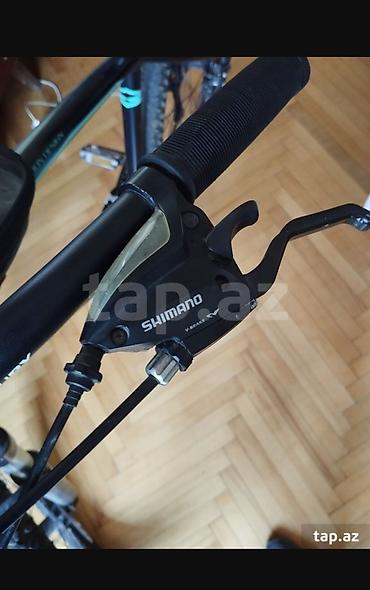 velosipet 29: Velosiped Mercury 29-luq — 2