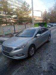 купить запчасти на опель вектра б: Hyundai Sonata: 2019 г., 2 л, Автомат, Газ, Седан