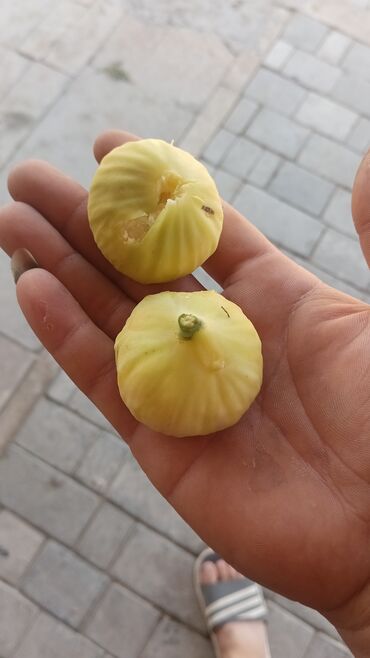 Ət və dəniz məhsulları: Lehic bağlarında yetişmiş şirin nubarliq əncir satılır