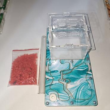 Другие животные: ‼️Колонии Муравьев с Формикариями разныные колоний большой выбор — 7