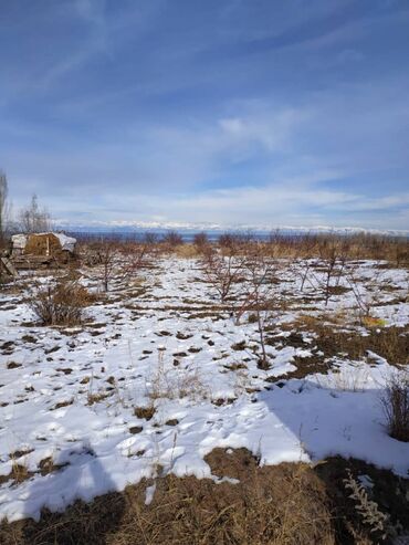 дом село ак жол: 100 соток, Для сельского хозяйства, Красная книга