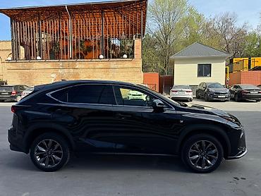Lexus: Lexus NX: 2018 г., 2 л, Бензин, Кроссовер — 22