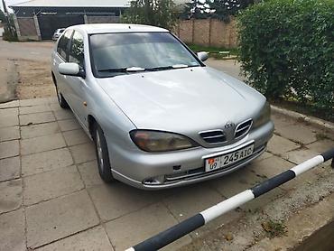 santa crus: Nissan Primera: 2001 г., 1.6 л, Механика, Бензин, Хэтчбэк — 1