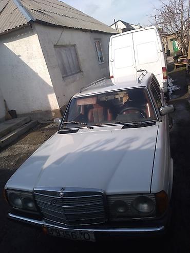sprinter 2003: Mercedes-Benz W123: 1980 г., Универсал — 2