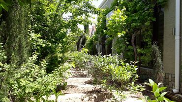 Uzunmüddətli kirayə evlər: 200 kv. m, 5 otaqlı — 11