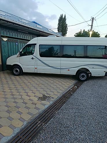 sprinter 2 9: Пункт назначения: Тюп, Количество мест: 21, Лицензия №: 08В006490 — 4