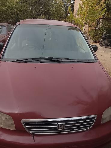 бизнес машина: Honda Odyssey: 1995 г., Минивэн — 2