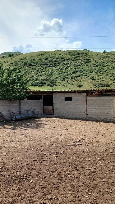 Продажа сельхоз предприятий: Кошара, 100 соток, Действующий, Электричество, Скважина — 7