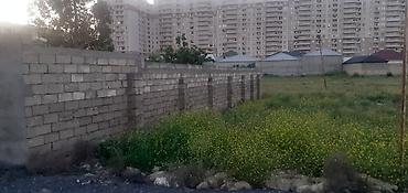 бина пз: 3 соток, Для сельского хозяйства, Собственник, Купчая, Техпаспорт — 4