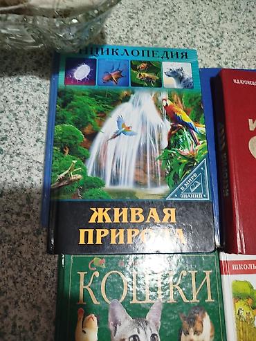 Иностранные языки: Человек и общество 5 класс.Кыргыз адабияты 5 класс. математика 5класс — 8