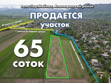 тюпский район село семеновка: 65 соток