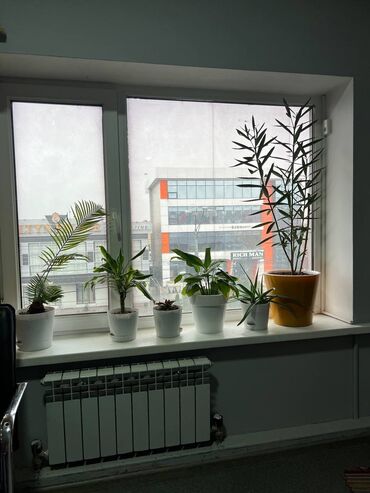 Посуточная аренда комнат: 300 м², С мебелью — 15