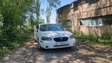 ниссан стагея: Nissan Maxima: 2000 г., 3 л, Механика, Бензин, Седан