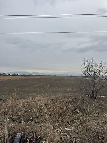 Продажа участков: 430 соток, Для сельского хозяйства, Договор купли-продажи — 8