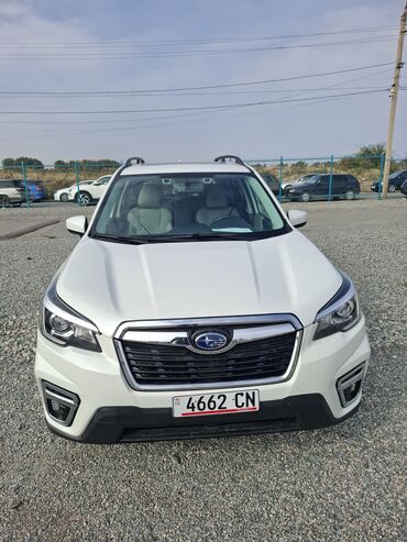 эшик хонда фит: Subaru Forester: 2019 г., 2.5 л, Автомат, Бензин, Кроссовер