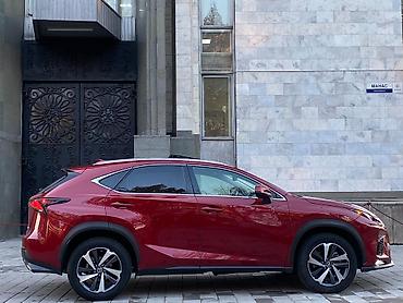 Lexus: Lexus NX: 2018 г., 2 л, Автомат, Бензин, Кроссовер — 5