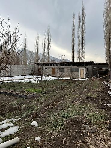 Продажа коттеджей и домов: Продаётся дом с большим участком и хозяйственными строениями. - Жилой — 1