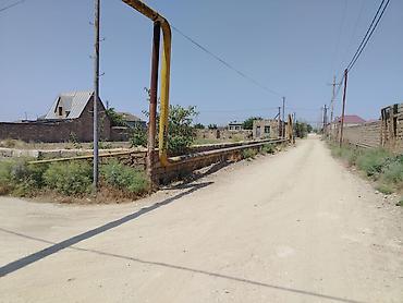 berde: 12 sot, Tikinti, Mülkiyyətçi, Müqavilə — 10