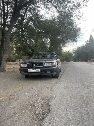 Audi: Audi 100: 1994 г., 2.3 л, Механика, Газ — 12