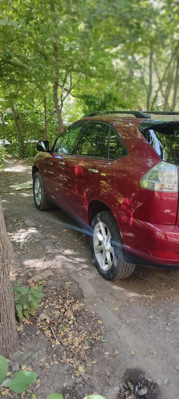 Lexus: Lexus RX: 2008 г., 3.5 л, Автомат, Бензин, Кроссовер — 7