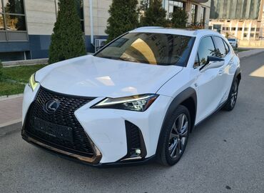 Lexus: Lexus : 2020 г., 2 л, Вариатор, Гибрид, Хэтчбэк