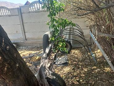 Другие тракторы: Абалы ото жакшы
толка ватсап иштейти — 2