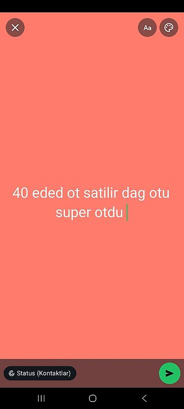 dəniz məhsulları satışı: Məhsul: Dağ otu (40 ədəd) Təsvir: - Təbii dağlardan toplanmış ətirli — 1