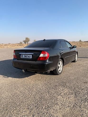 авто сеп: Toyota Camry: 2004 г., 3 л, Автомат, Газ, Седан — 1