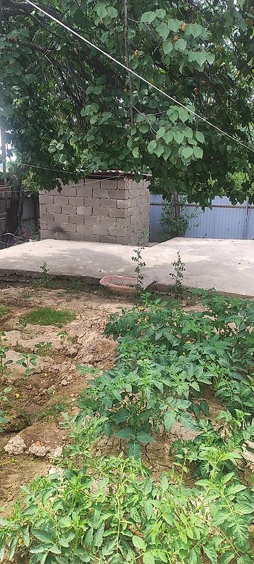 Продажа домов: Дача, 1 м², 4 комнаты, Собственник, Евроремонт — 14