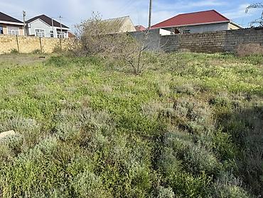 agsuda torpaq satilir: 7 sot, Tikinti, Mülkiyyətçi, Kupça (Çıxarış) — 10