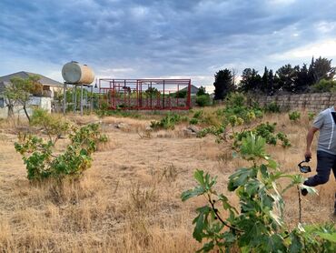 Torpaq sahələrinin satışı: 9 sot, Tikinti, Mülkiyyətçi, Kupça (Çıxarış) -da lalafo.az — 9 Torpaq sahələrinin satışı: 9 sot, Tikinti, Mülkiyyətçi, Kupça (Çıxarış) — 9
