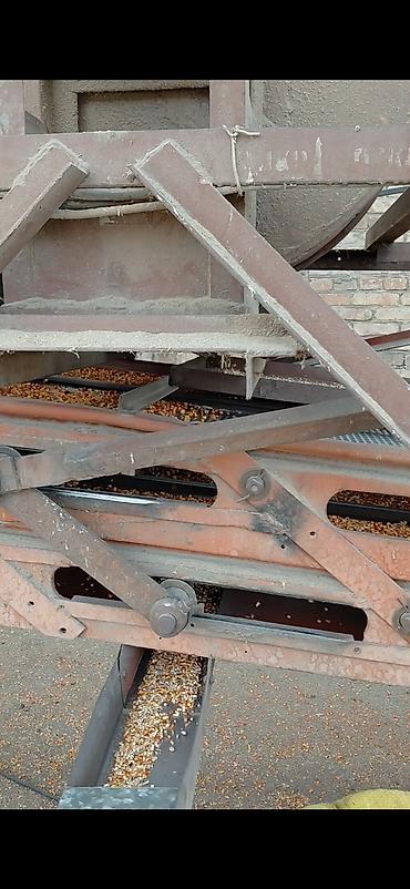пахтанын кг канча сом: Жугору урука сатылат высщий сорт местный Описание: - Высушенные — 8