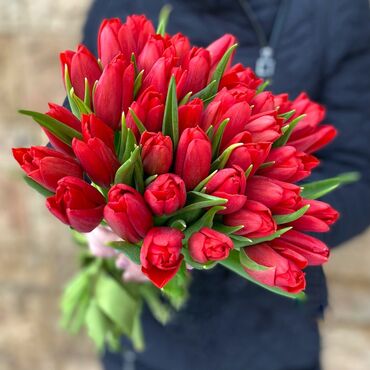 цветы тюльпаны: Семена и саженцы Тюльпанов, Платная доставка
